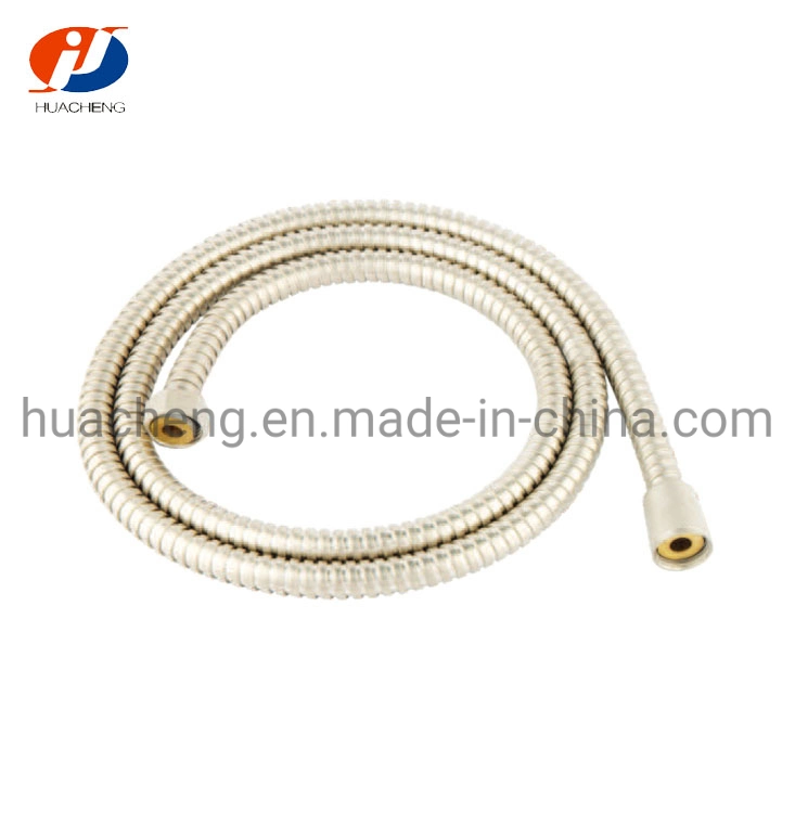 Wire Drawing Nickle Plating Double Lock Shower Hose